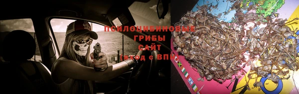 соль ск Елизово