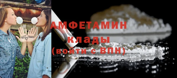 молекула духа Елабуга