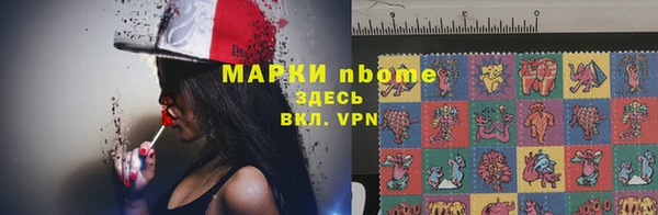 молекула духа Елабуга