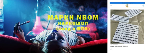 молекула духа Елабуга