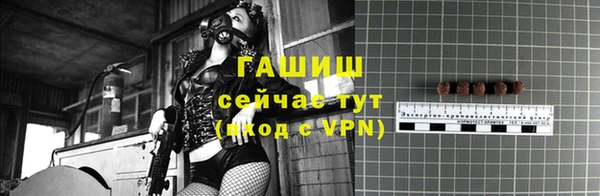 молекула духа Елабуга