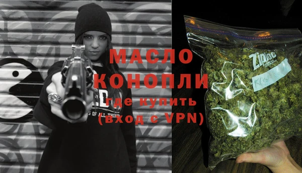молекула духа Елабуга