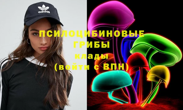 MDMA Premium VHQ Ельня
