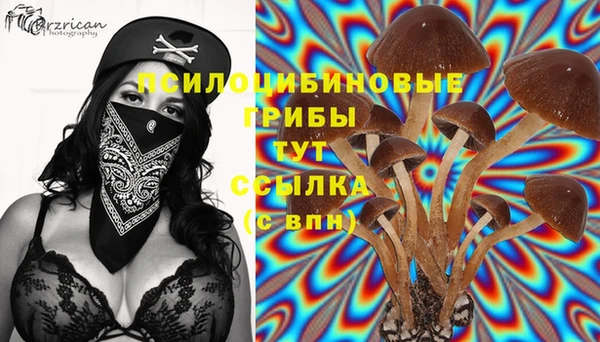 MDMA Premium VHQ Ельня